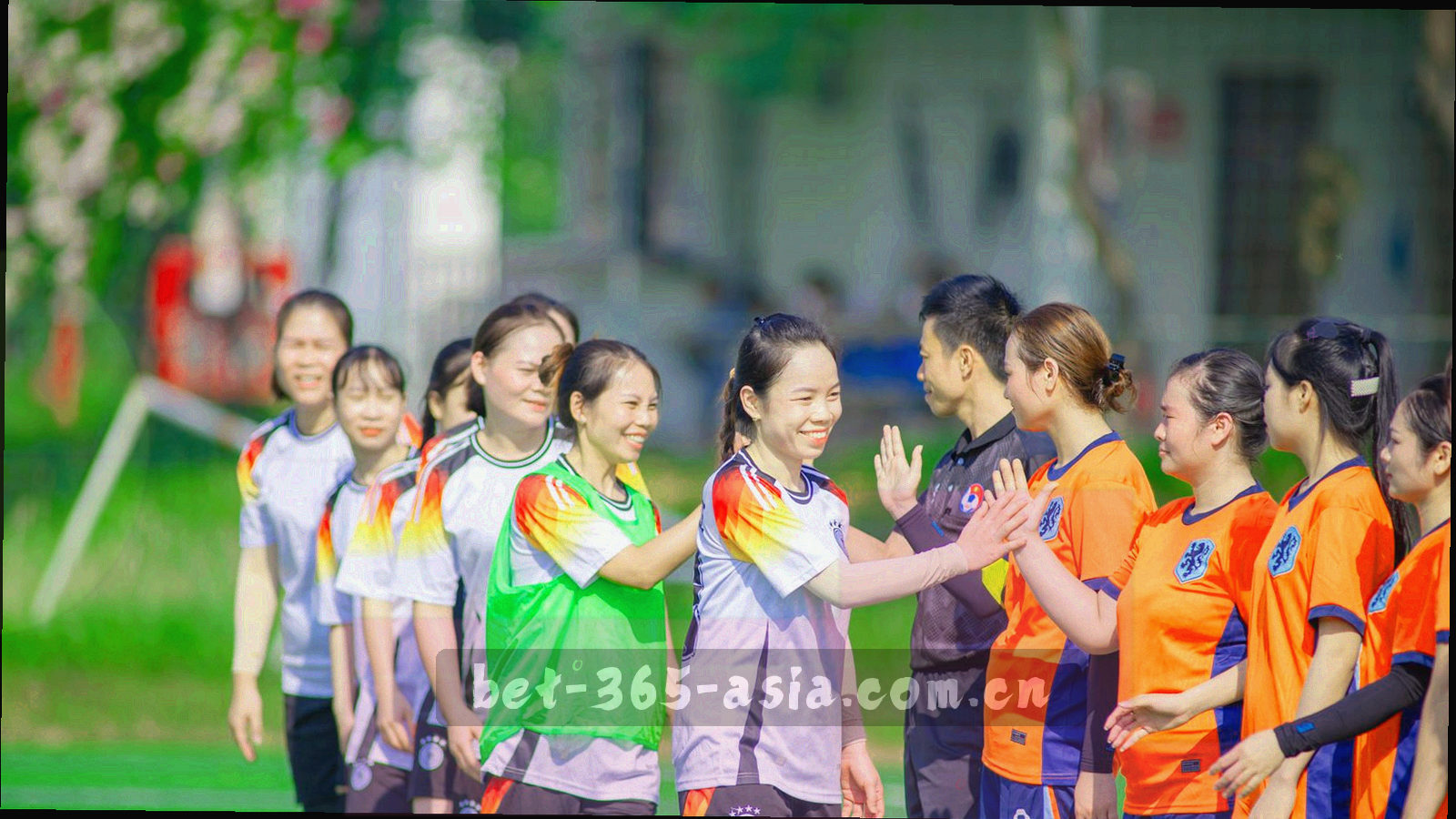 抽象球场线条与数据网格构成的暗底高光背景